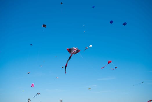 lots of colorful kites at a kite festival