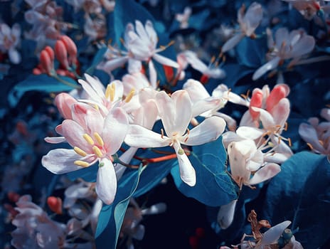 Illustration of pink flowers with blue leaves