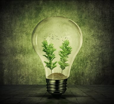 Light bulb with soil, green trees growing inside and birds flying. Energy conservation and environmental friendly concept. Green shining lamp on gray background.