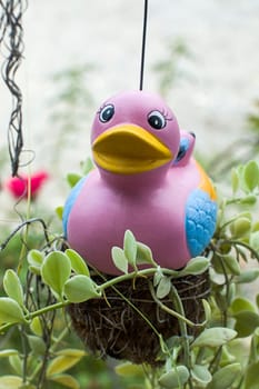 pottery duck decoration plant