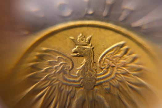 Euro money in reception