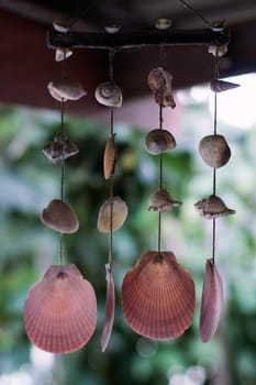 sea shell ornament hanging pink