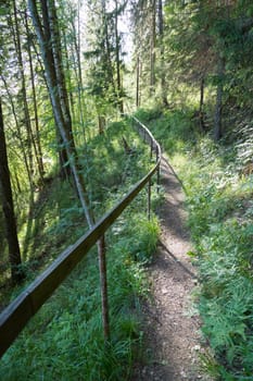 Trail in Forest with Railing.