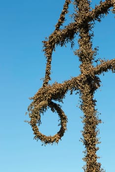 Swedish Maypole Covered in withered Birch Leaves.