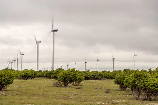 Wind Power Stations Spinning in Green Field.