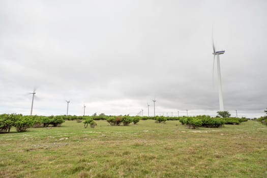 Wind Power Stations Spinning in Green Field.