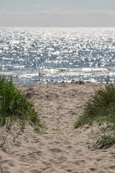 Sandy Beach with Grass and Ocean.