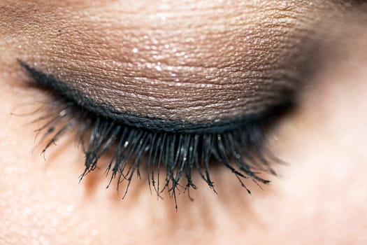 eyelashes macro closed eye fashion
