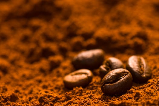 Some coffee beans are on coffee powder.