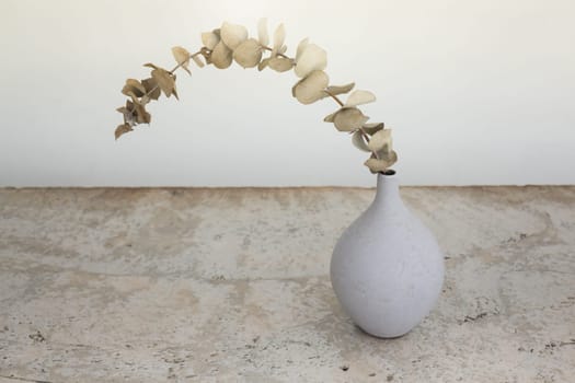 Dried eucalyptus leaves in vases, stock photo