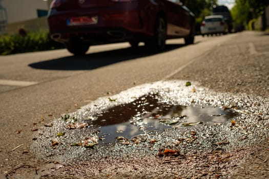 Puddle on a walkway with leaves in the water in backlight