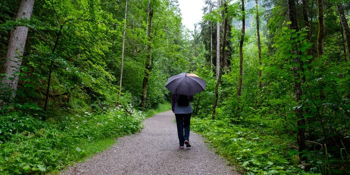 Woman with umbrella in the rain on a hike in the forest in the Allgäu