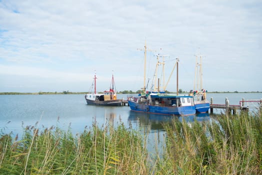 several fishing boats moored in a small lake