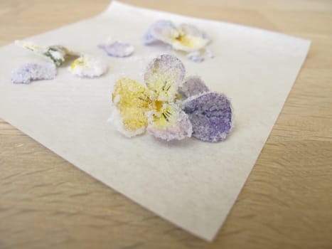 Candied horned violets