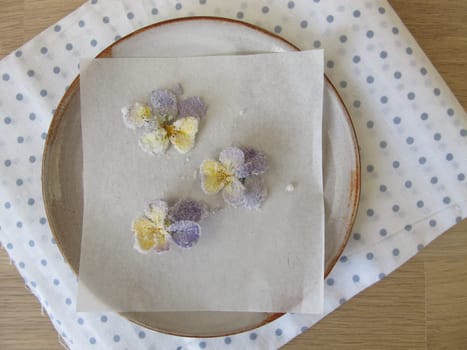 Candied horned violets