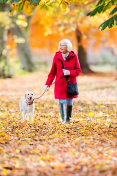 Senior woman is enjoying an autumn walk with her pet dog.