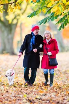 Senior couple are walking through the autumn woods with their pet dog.