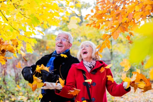 Senior couple are out on an autumn walk in the woods. They are picking up the leaves and throwing them in the air around them.