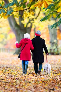 Senior couple are walking through the autumn woods with their pet dog.