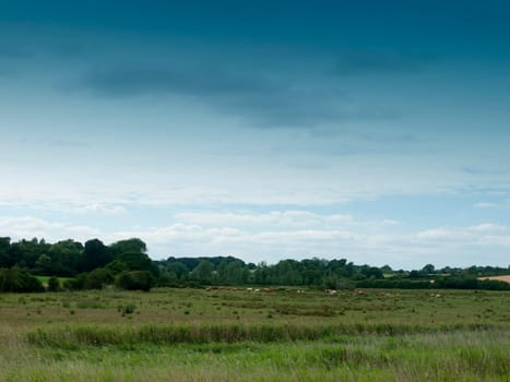 empty country scene with field and trees  Essex  UK