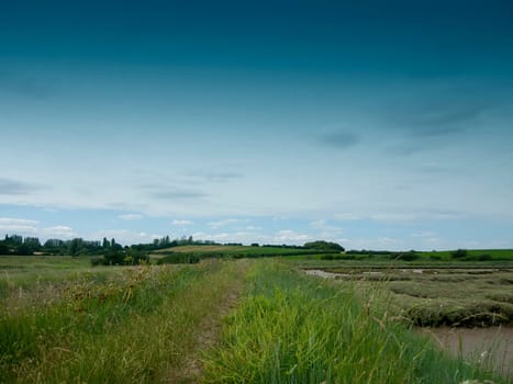 countryside walking path outside through meadow  Essex  UK