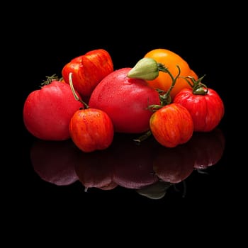 Large group of multi-colored tomatoes isolated on a black glossy background with a real reflection