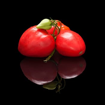 Pile of red tomatoes isolated on black glossy background with real reflection