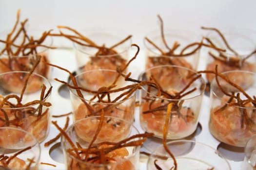 Glasses filled with tuna sushi and sprinkled fried sweet potato strings