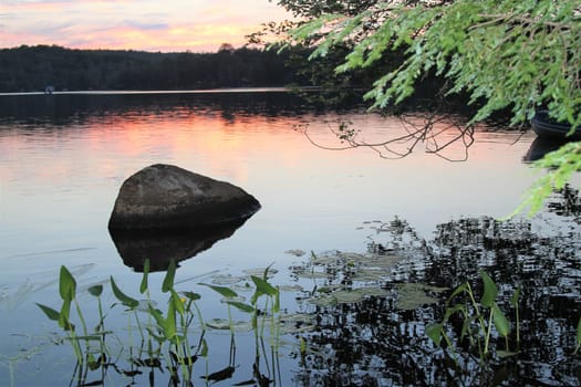 Scenic view of rocks and plants in lake at sunset