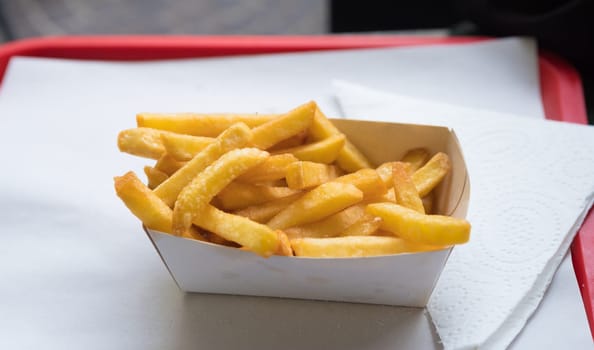 small portion of french fries on a tray