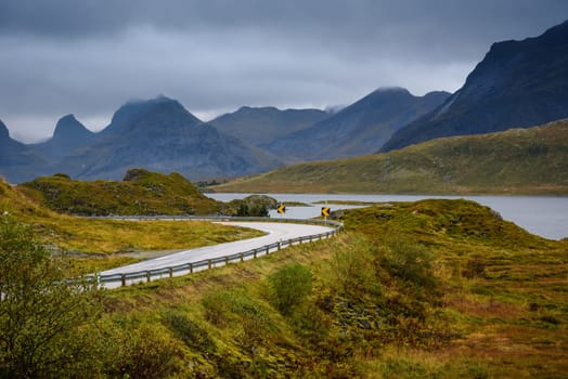 Asphalt sharp curved road along the forest and mountain, Lofoten, Norway