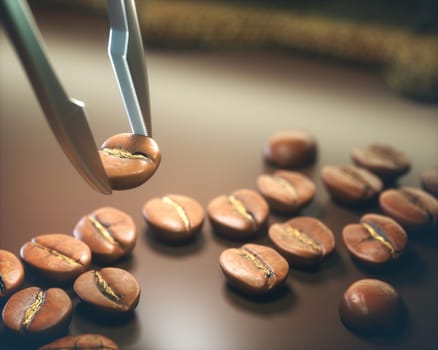 The best roasted coffee bean chosen by tweezers.