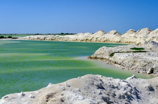 Green salt pool in Rio Lagartos in Mexico