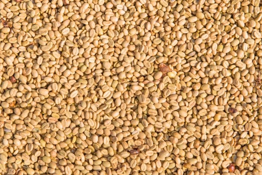 Arabica coffee beans in sunny, before roasted.