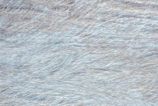 Wooden planks wall texture abstract for background.