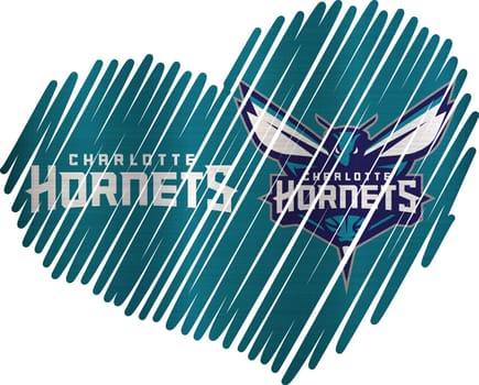 Lined Heart charlotte hornets metallic texture