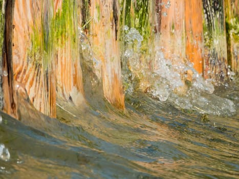 Close-up of water hitting a wooden shore fortification on Lake Caldaro.