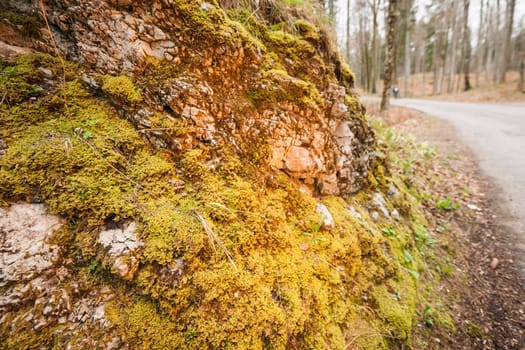 Rock face with moss on a hiking trail in the Bavarian Allgäu in autumn