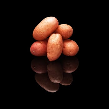 Pile of rose potatoes isolated on a black glossy background with real reflection