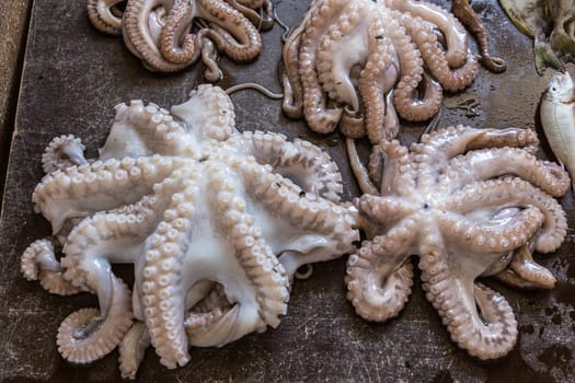 Close up fresh octopus on wooden stall at fish market.
