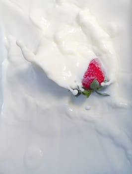strawberry splash milkshake cream yogurt milk dairy product
