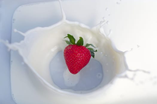 strawberry splash milkshake cream yogurt milk dairy product