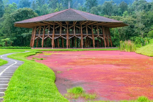 Large wooden building next a to lake covered in red plants near Manizales, Colombia