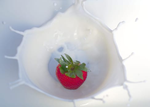 cream splashing strawberry cream organic fruit milk mix dairy