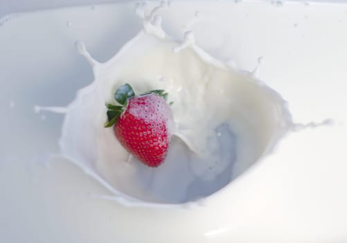 strawberry milk cream splash organic fruit dairy product