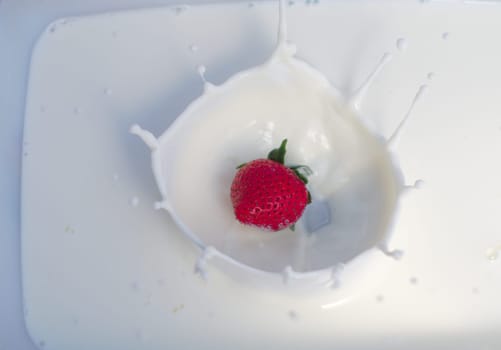 strawberry splash milkshake cream yogurt milk dairy product