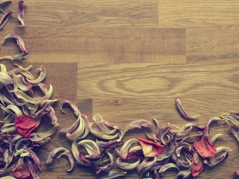 Autumn or thanksgiving background with space for text or image, retro film stylized