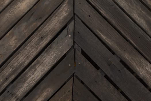 Texture of bark wood use as natural background, top view