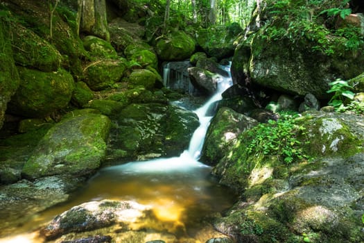 Forest with mountain stream,picturesque landscape with waterfall and moss-covered stones