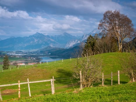 View from an alpine meadow over the Weißensee to the town of Füssen and the Schwangau with the mountain range behind it